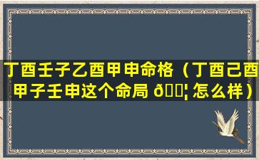 丁酉壬子乙酉甲申命格（丁酉己酉甲子壬申这个命局 🐦 怎么样）